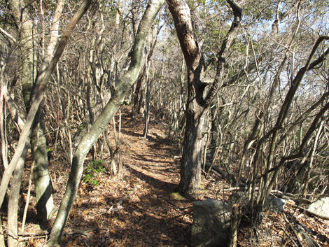 20140103hike (126)